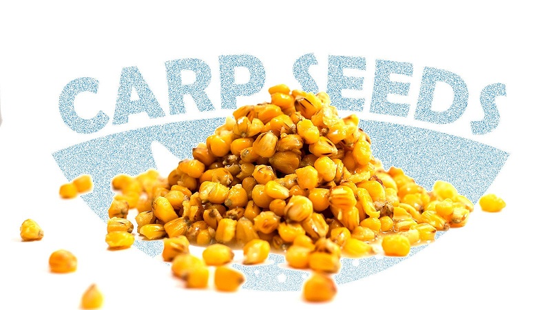 Carp Seeds Kukurydza- Squid 1kg