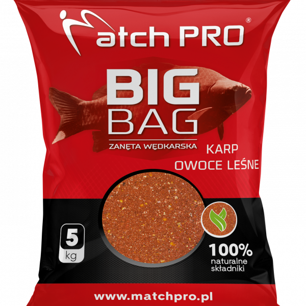 Match Pro-Big Bag Karp Owoce Leśne 5 kg